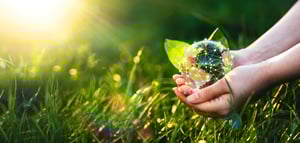 shutterstock_2059040609-2